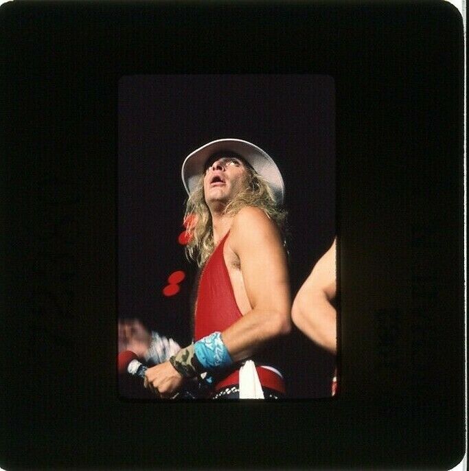 Van Halen Vintage  Photo Slide David Roth Live Diver Down Album Tour 1982 #5